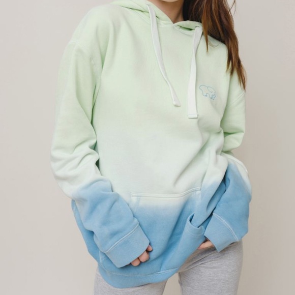 ivory ella Sweaters - NWT Ivory Ella Rich Ombré Hoodie. Size Small